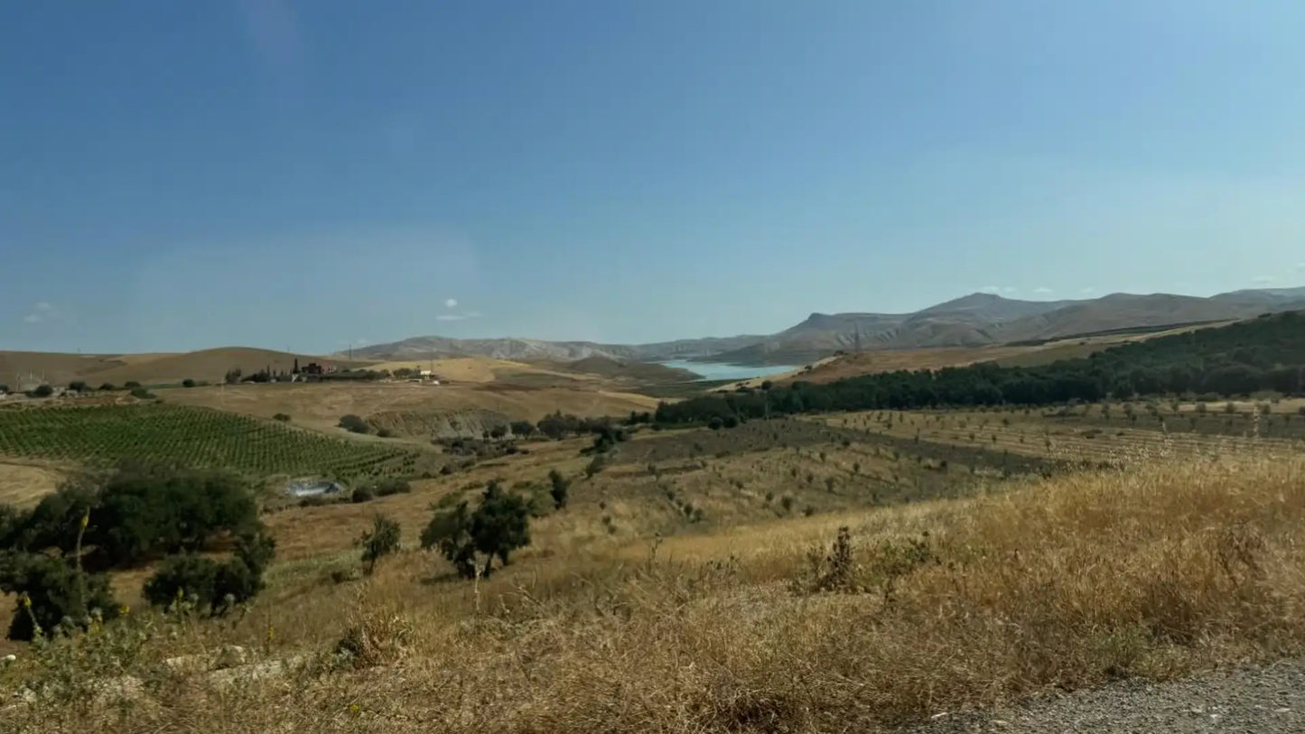 From Fès : excursion à Meknès, Volubilis et Moulay Idriss