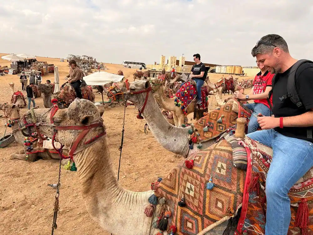 From フルガダ：バンで行くカイロ終日アドベンチャー