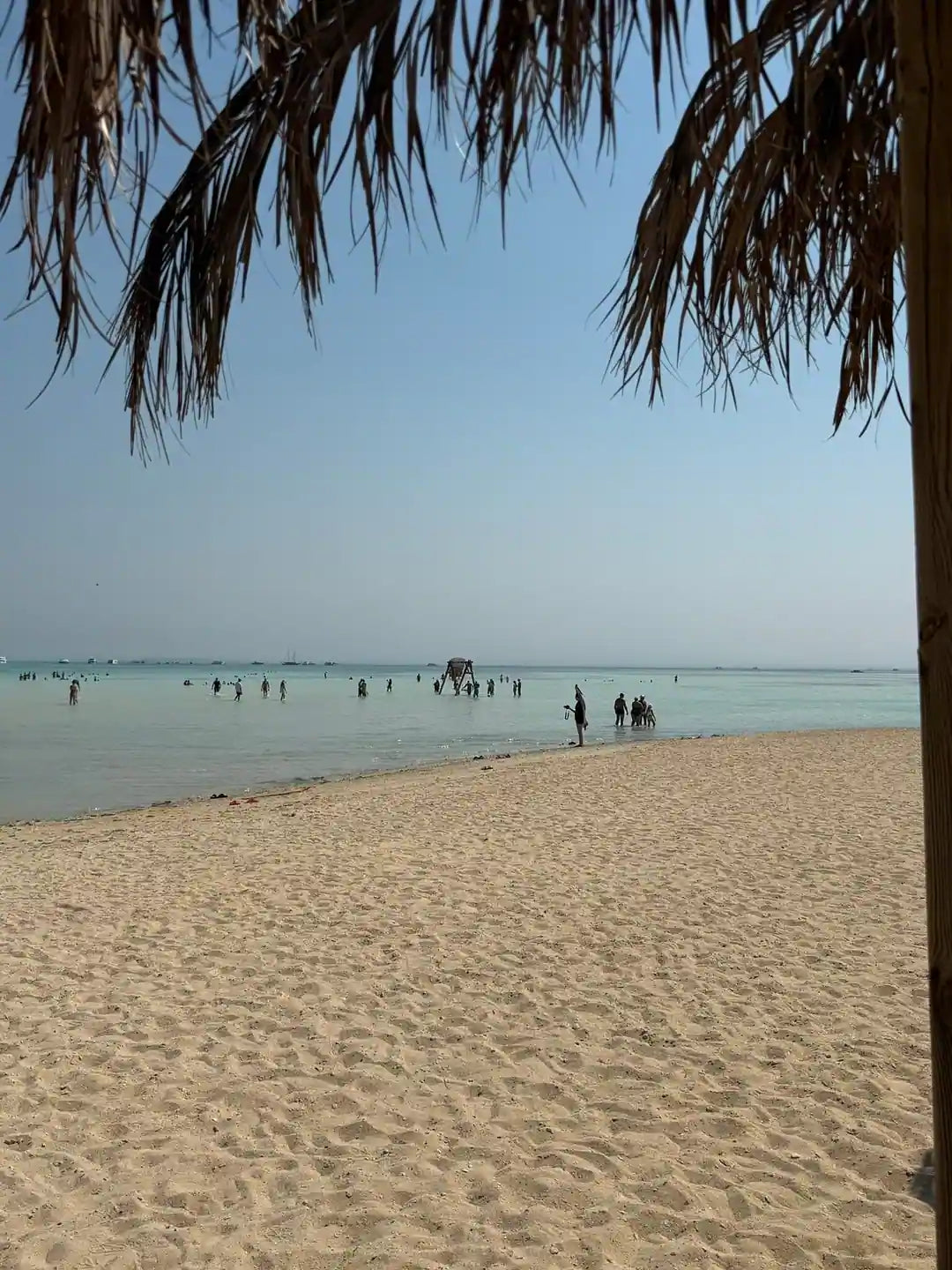 Hurghada: Snorklecruise til Orange Bay Island med lunsj