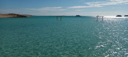 Hurghada: Snorklecruise til Orange Bay Island med lunsj