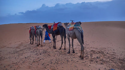 From Marrakech: 2-dagers tur til Sahara-ørkenen – Ouarzazate, Merzouga til Fes
