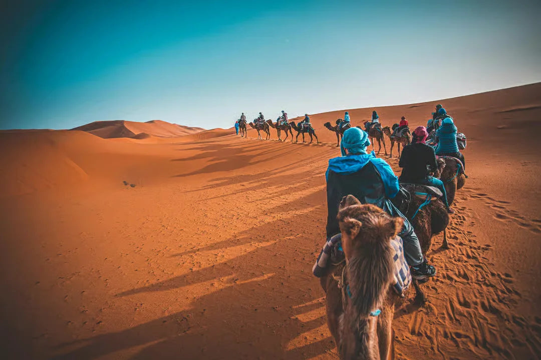 Från Marrakech: 2-dagars lyxtur till Zagoraöknen