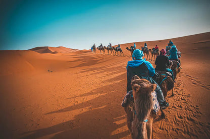 Från Marrakech: 2-dagars lyxtur till Zagoraöknen