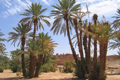 Från Marrakech: 2-dagars lyxtur till Zagoraöknen