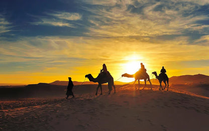 Från Marrakech: 2-dagars lyxtur till Zagoraöknen