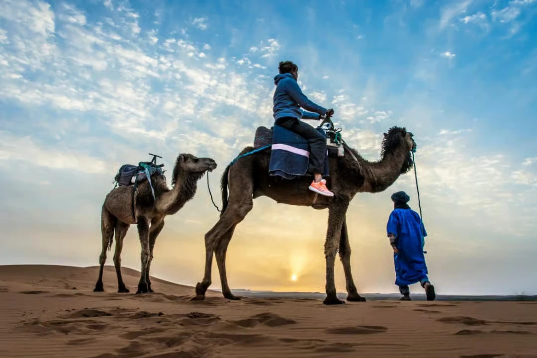 Från Marrakech: 2-dagars lyxtur till Zagoraöknen