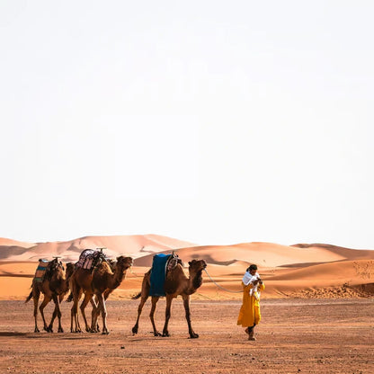 Från Marrakech: 2-dagars lyxtur till Zagoraöknen