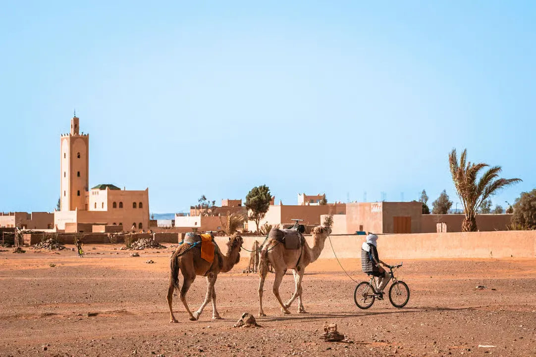 Från Marrakech: 2-dagars lyxtur till Zagoraöknen