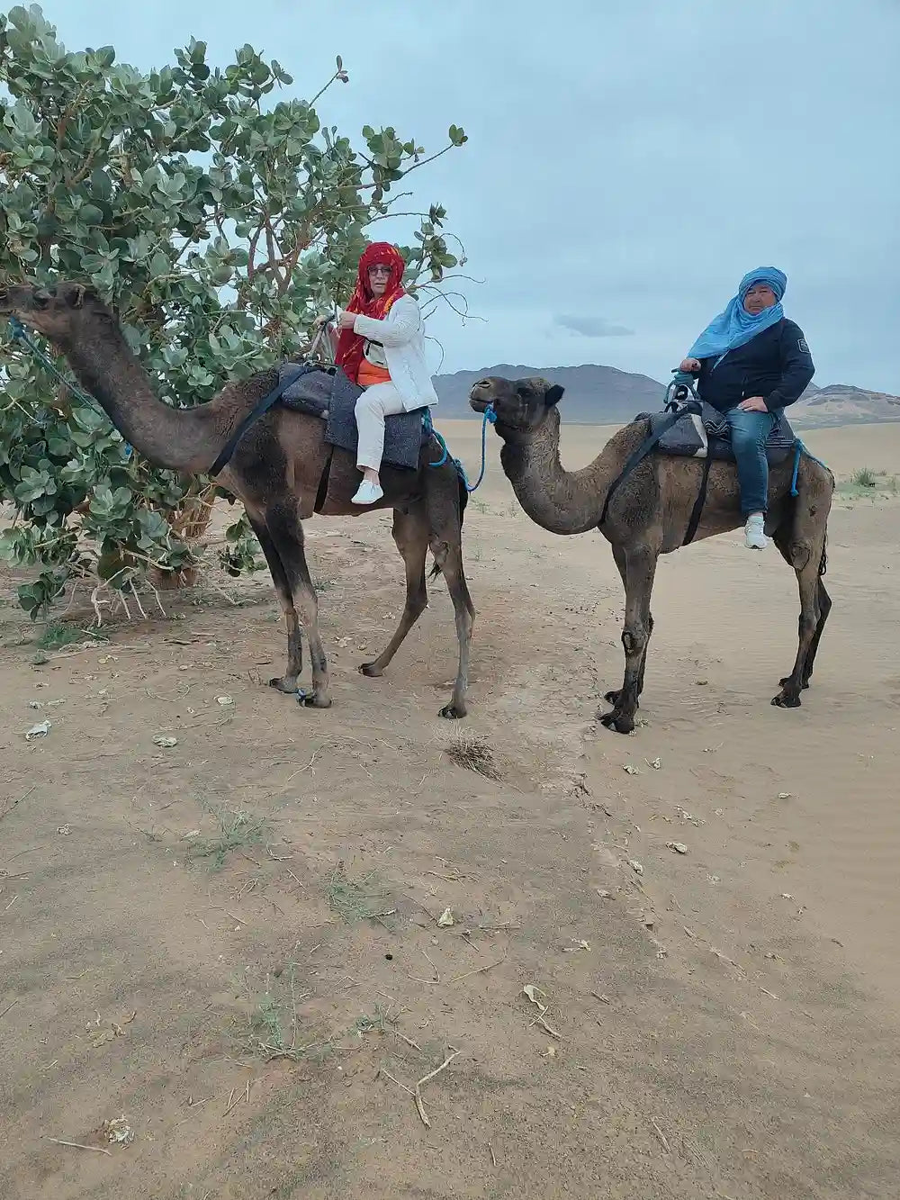 From Marrakech: 2-Days Private Desert Tour to Zagora Desert