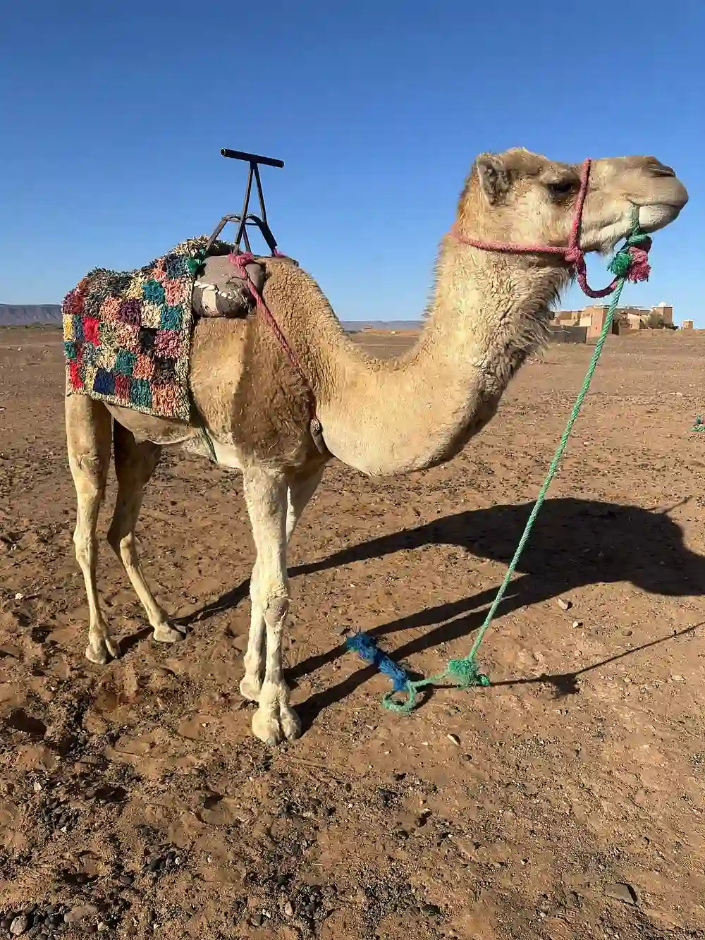 From Marrakech: 2-Days Private Desert Tour to Zagora Desert