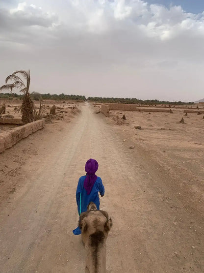 From Marrakech: 2-Days Private Desert Tour to Zagora Desert