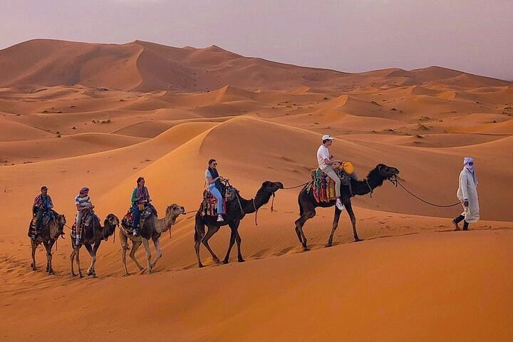 From Marrakech: 3-Days Desert Trip to Fez and Erg Chebbi