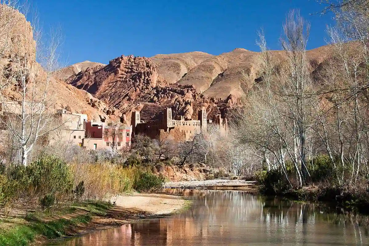 From Marrakech: 3-Days Desert Trip to Fez and Erg Chebbi