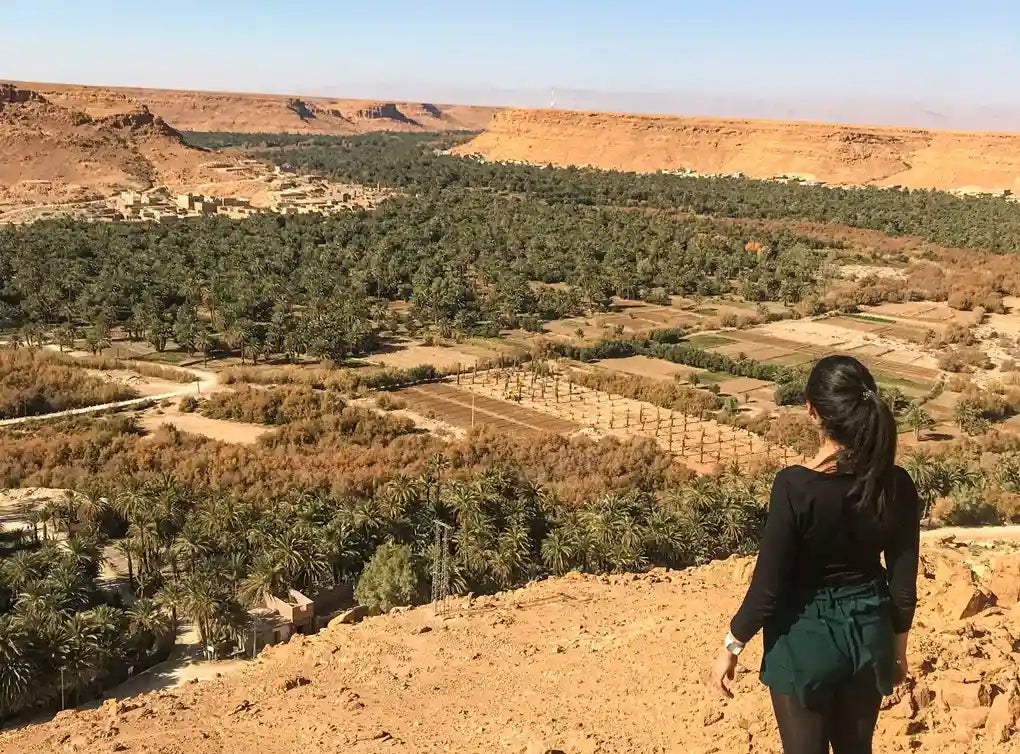 From Marrakech: 3-Days Desert Trip to Fez and Erg Chebbi