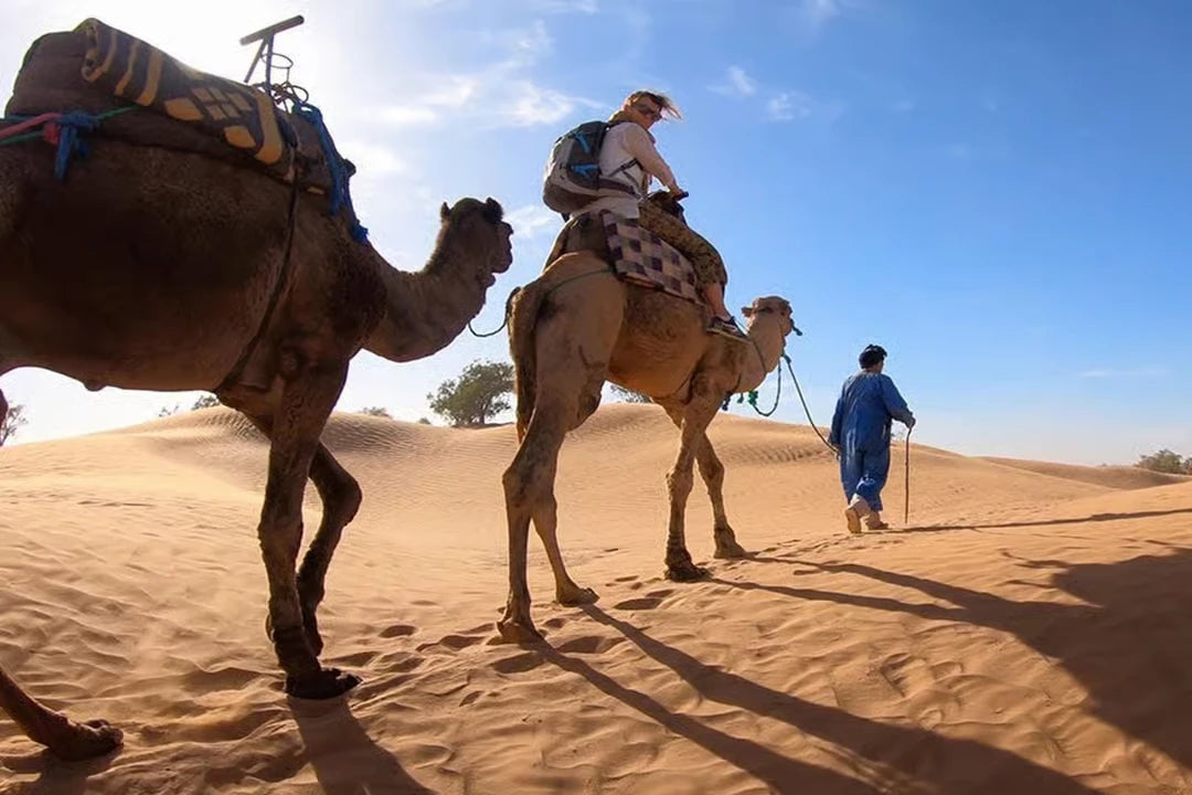 From Marrakesch: 3-tägige private Reise in die Sahara Erg Chigaga