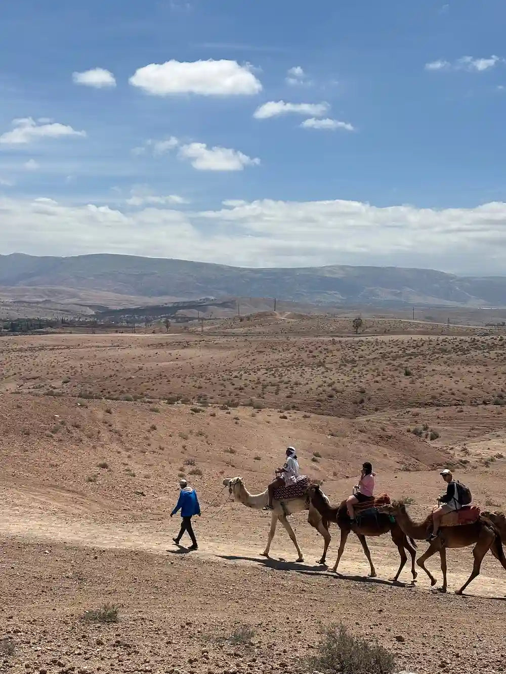 From Marrakech: giro in quad nel deserto di Agafay, giro in cammello e gita in piscina con pranzo