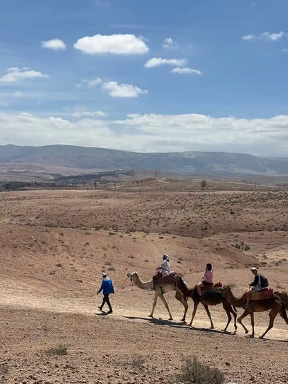 From Marrakech: giro in quad nel deserto di Agafay, giro in cammello e gita in piscina con pranzo