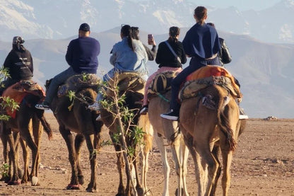 From Marrakech: giro in quad nel deserto di Agafay, giro in cammello e gita in piscina con pranzo