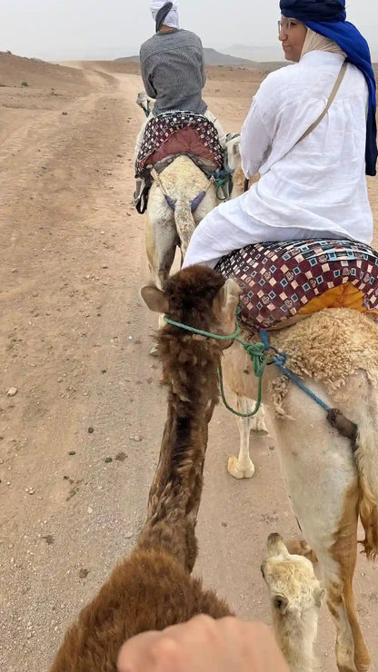 From Marrakech: giro in quad nel deserto di Agafay, giro in cammello e gita in piscina con pranzo