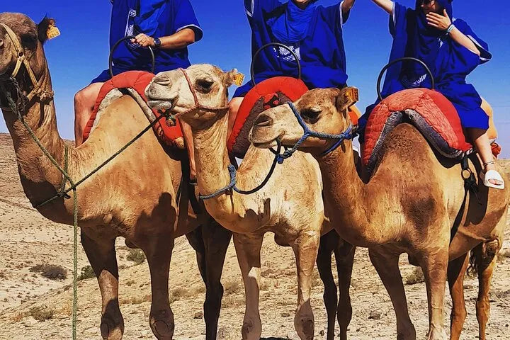 Från Marrakech: Privat utflykt med fyrhjuling i Agafayöknen, kamelridning och middag