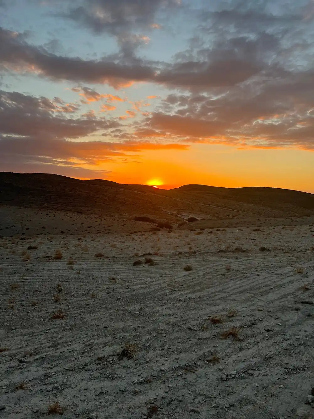 From Marrakech: giro in cammello al tramonto nel deserto di Agafay