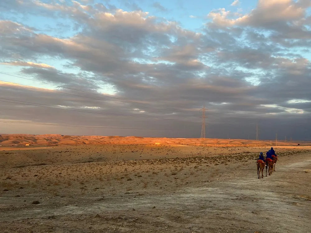 From Marrakech: giro in cammello al tramonto nel deserto di Agafay