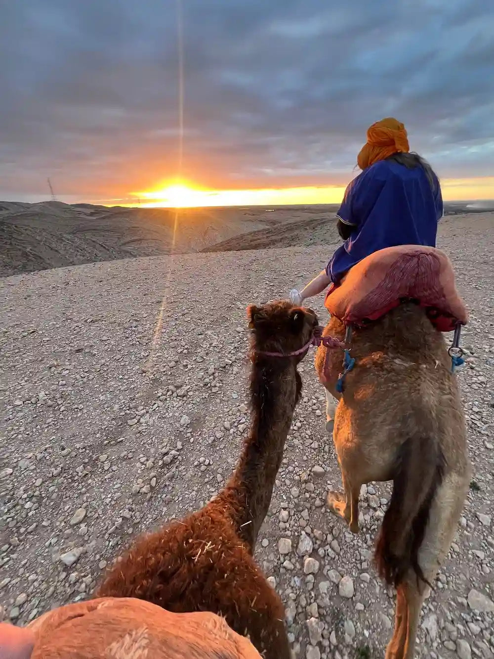From Marrakech: giro in cammello al tramonto nel deserto di Agafay