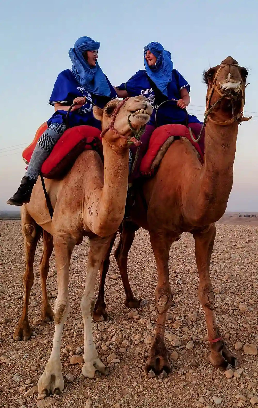From Marrakech: giro in cammello al tramonto nel deserto di Agafay