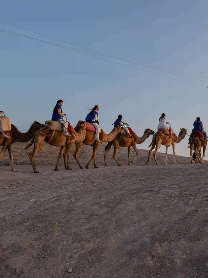 From Marrakech: Agafay Desert Sunset Camel Ride, Dinner and Fire Show