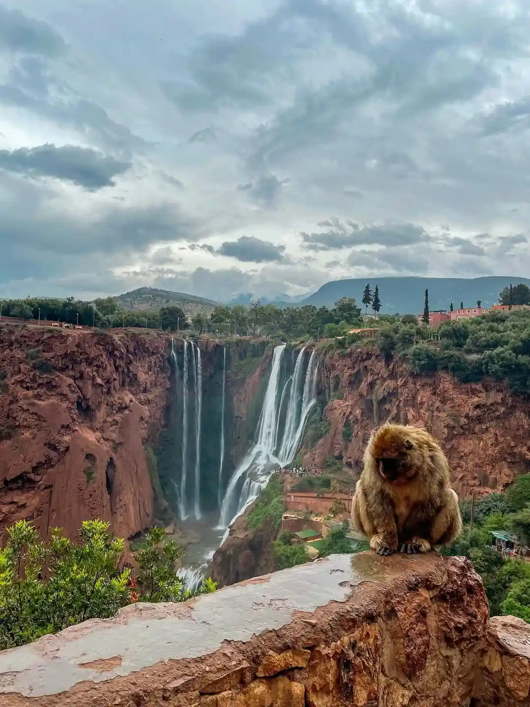 From Marrakech: Ouzoud Waterfalls and Boat Ride Day Trip