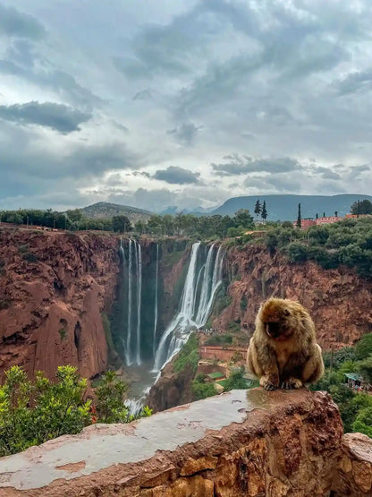 From Marrakech: Ouzoud Waterfalls and Boat Ride Day Trip