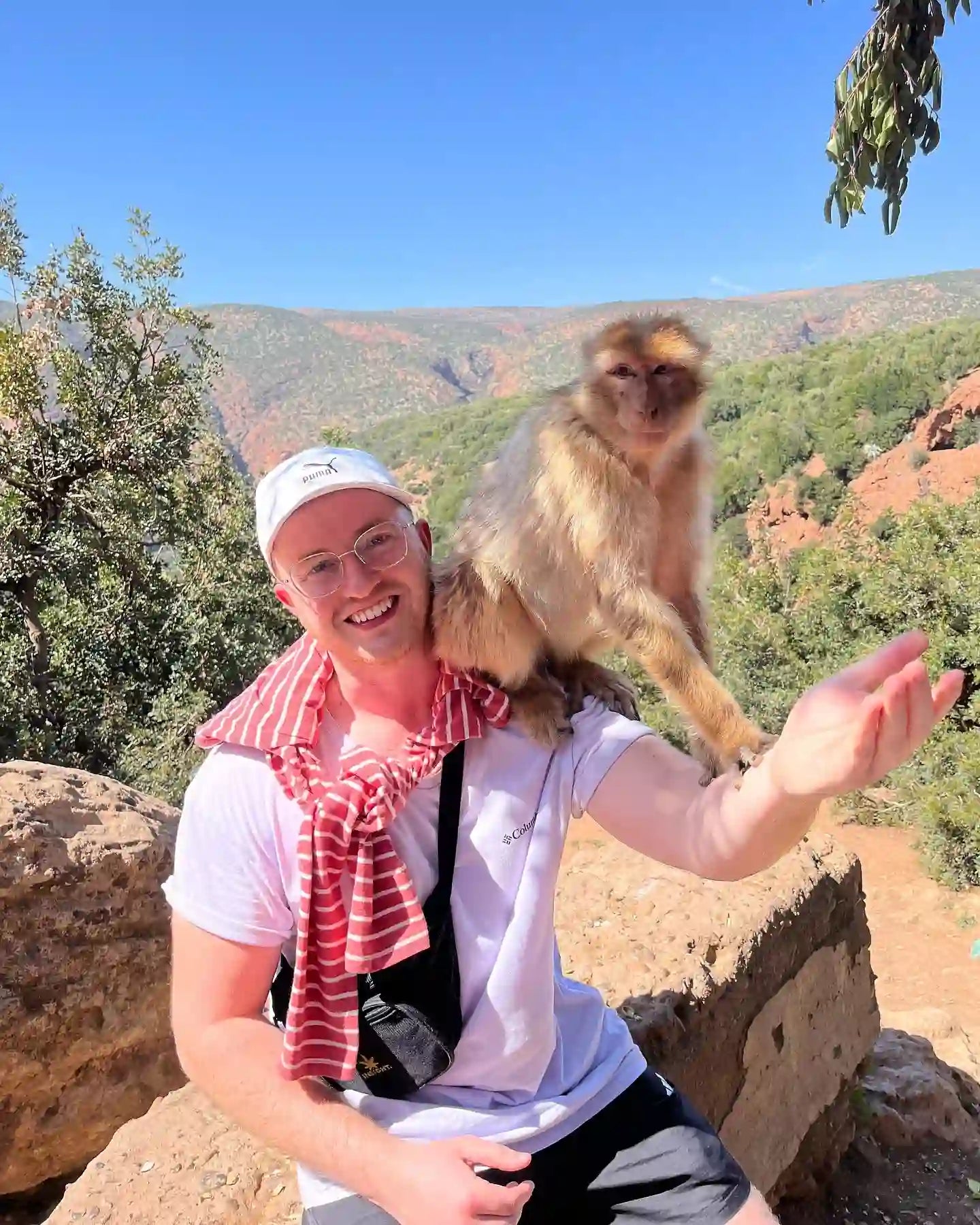 From Marrakech: Ouzoud Waterfalls and Boat Ride Day Trip