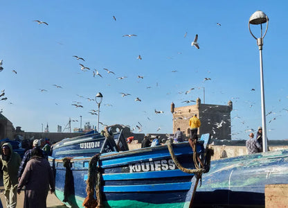 Dari Marrakech: Perjalanan Pribadi 2 Hari ke Essaouira, Medina, dan Pantai Sidi Kaouki
