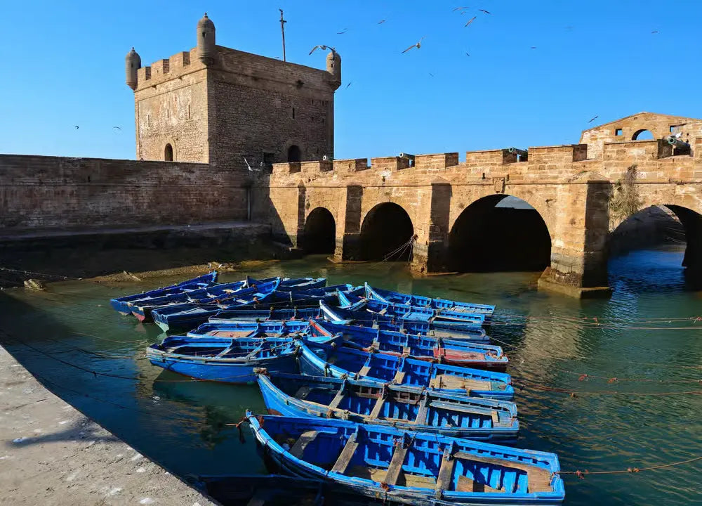 Dari Marrakech: Perjalanan Pribadi 2 Hari ke Essaouira, Medina, dan Pantai Sidi Kaouki