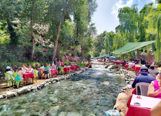 From Marrakech: Privé dagtrip naar de Ourika-vallei en het Atlasgebergte