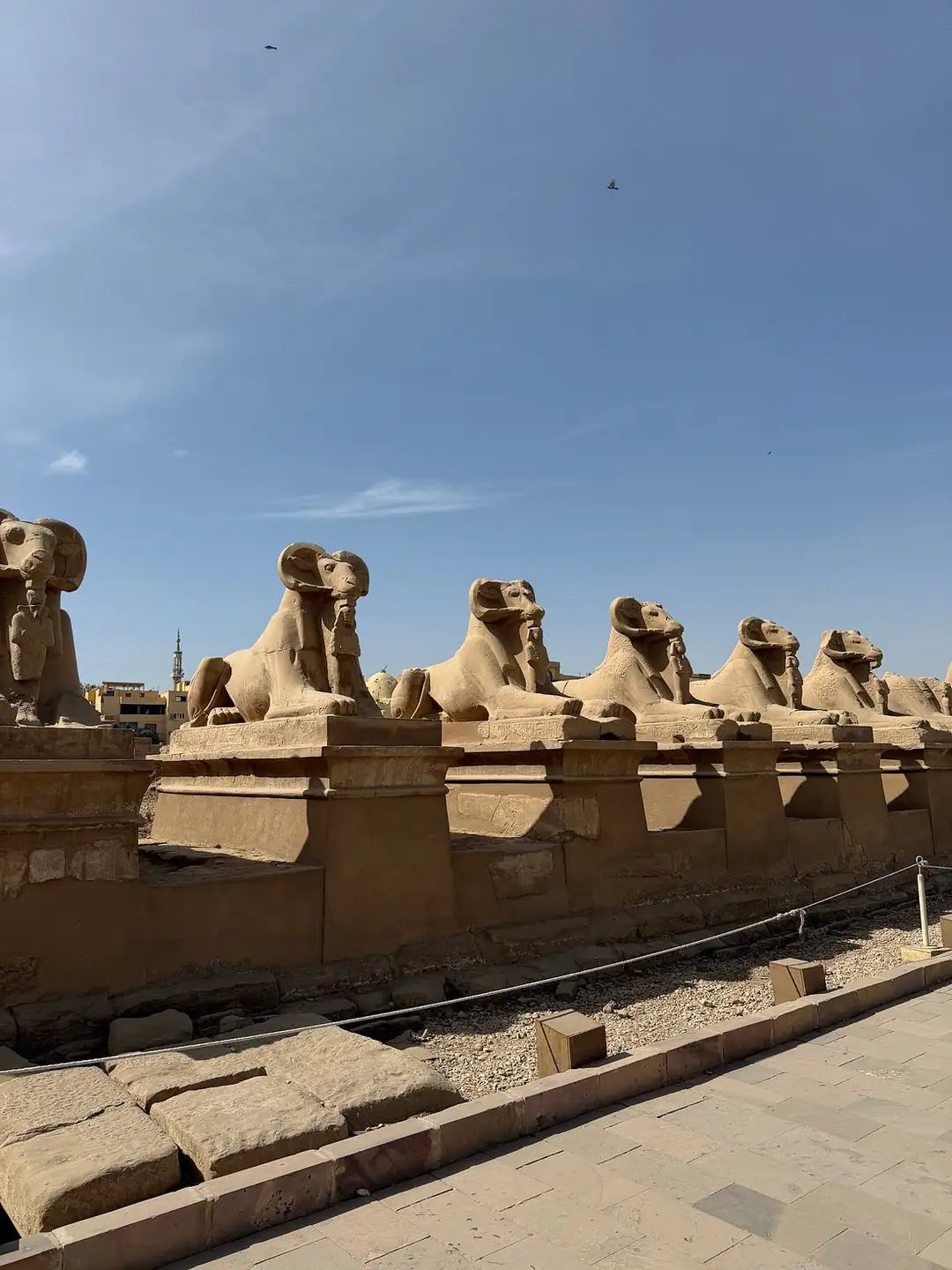 Dari Marsa Alam: Tur Berpemandu Luxor ke Lembah Para Raja dan Kuil Karnak