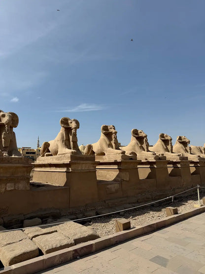 Dari Marsa Alam: Tur Berpemandu Luxor ke Lembah Para Raja dan Kuil Karnak