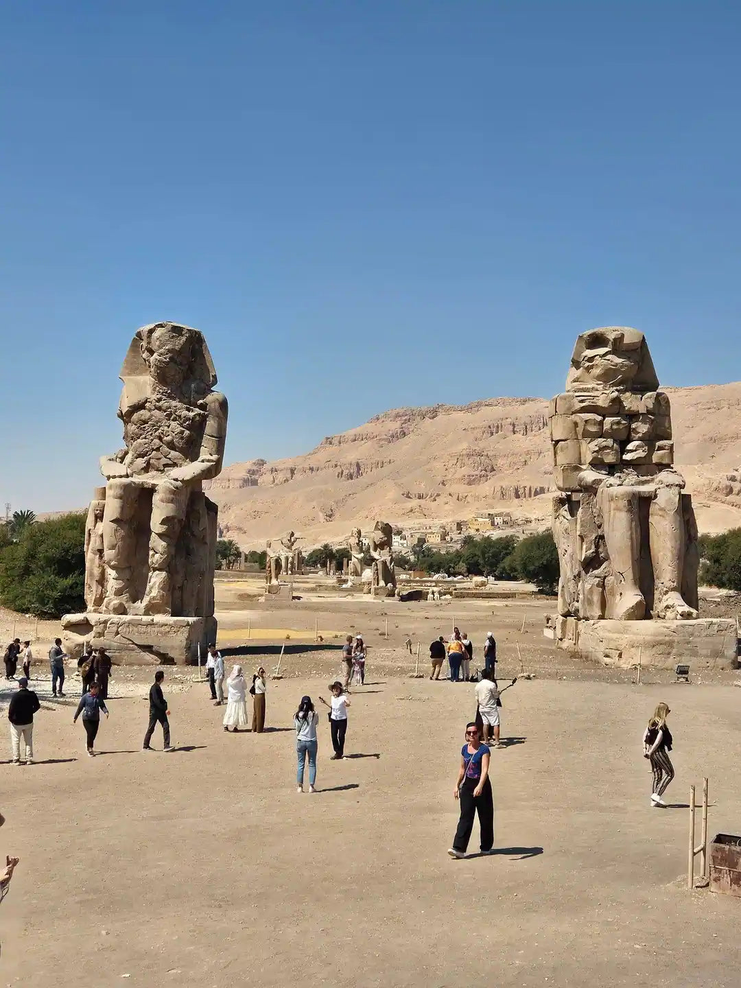 Dari Marsa Alam: Tur Berpemandu Luxor ke Lembah Para Raja dan Kuil Karnak