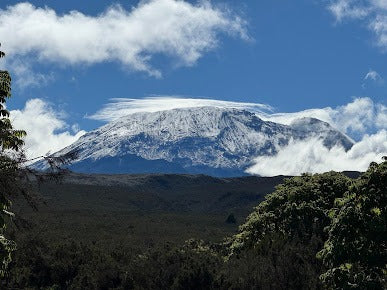 From Moshi oder Arusha: Private Wanderung über die Shira-Plateau-Route am Mount Kilimanjaro