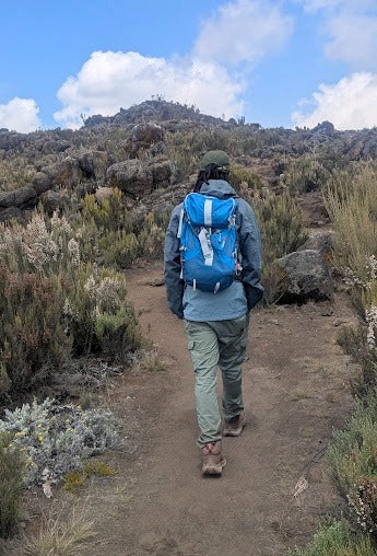 From Moshi oder Arusha: Private Wanderung über die Shira-Plateau-Route am Mount Kilimanjaro