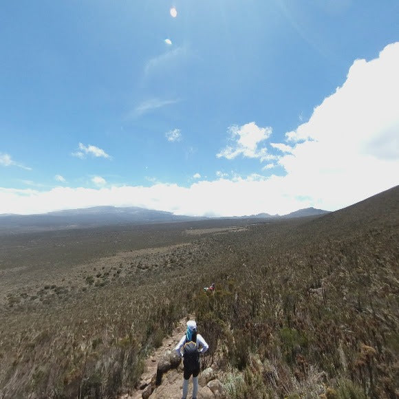 From Moshi oder Arusha: Private Wanderung über die Shira-Plateau-Route am Mount Kilimanjaro