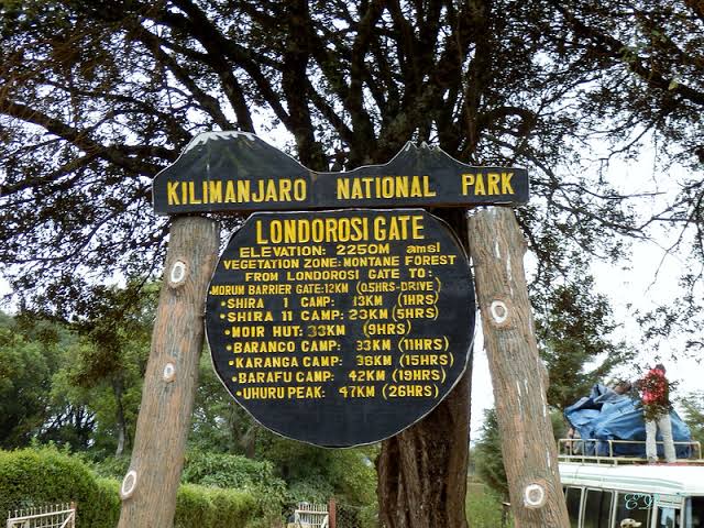 From Moshi oder Arusha: Private Wanderung über die Shira-Plateau-Route am Mount Kilimanjaro