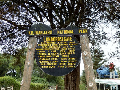 From Moshi oder Arusha: Private Wanderung über die Shira-Plateau-Route am Mount Kilimanjaro