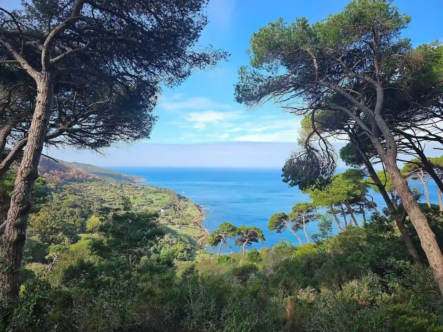 Από το Ραμπάτ: Ημερήσια εκδρομή στην Ταγγέρη με τρένο υψηλής ταχύτητας με βόλτα με καμήλα
