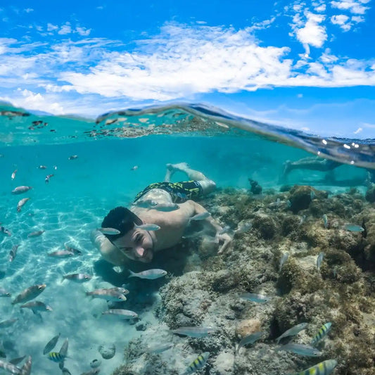 Da Safaga: Tour dei Delfini con Snorkeling e Banana Boat