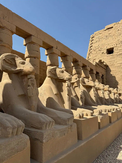 From 萨法加港出发：卢克索帝王谷和卡纳克神庙私人游