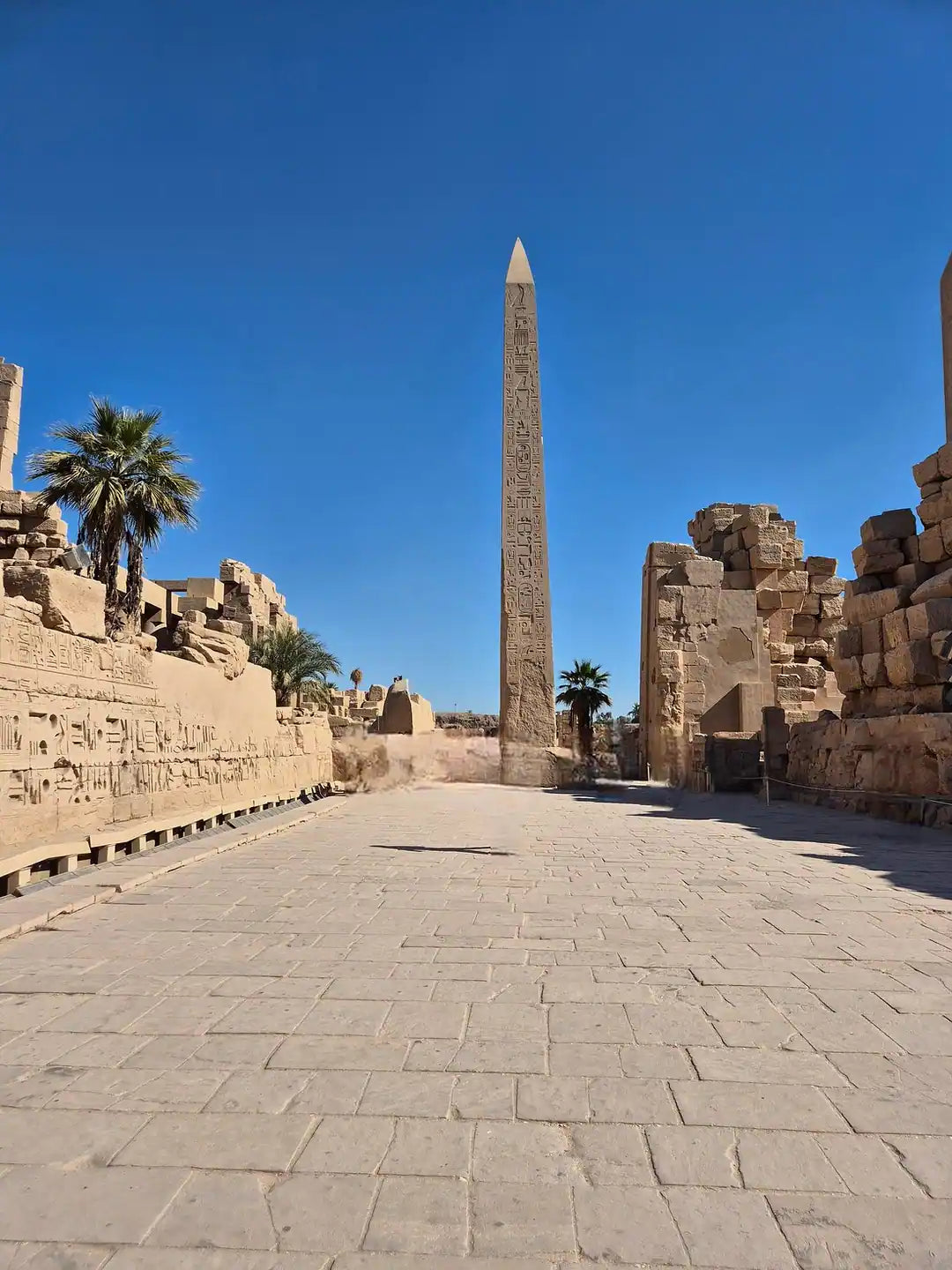 From 萨法加港出发：卢克索帝王谷和卡纳克神庙私人游