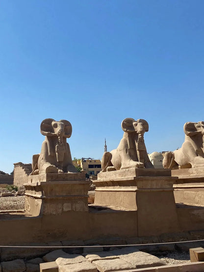 From Safaga: Geführte Luxor-Tour zum Tal der Könige und Karnak mit Mittagessen