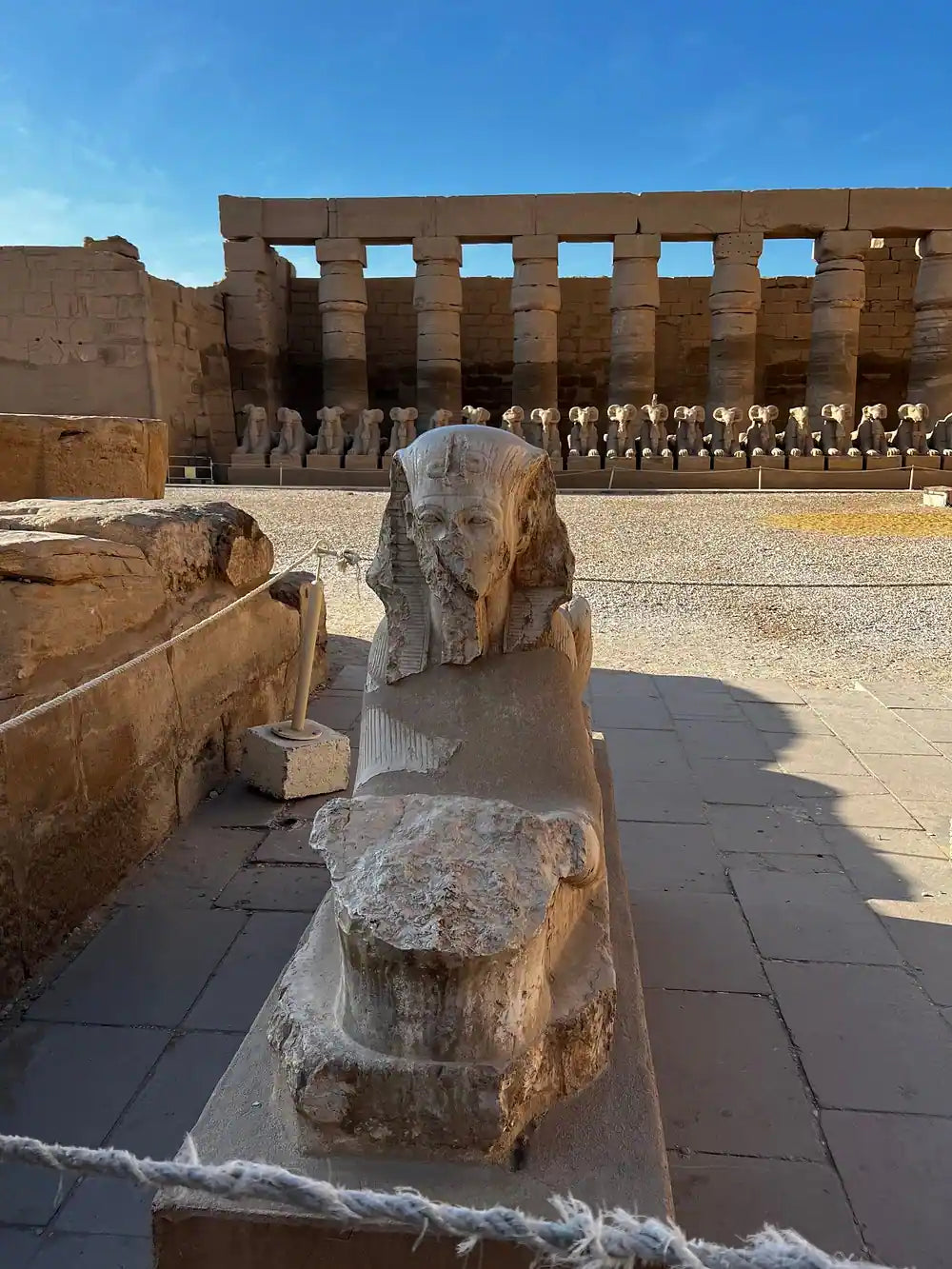 De Sharm El-Sheikh: Excursão de Dia Inteiro a Luxor de Avião