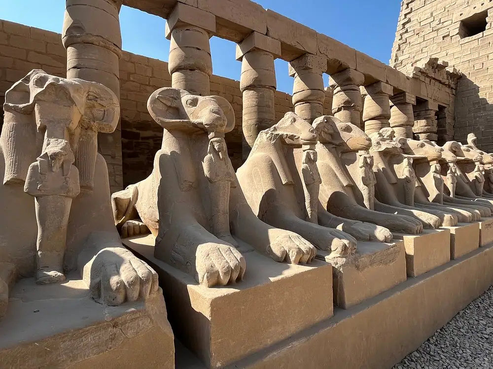 De Sharm El-Sheikh: Excursão de Dia Inteiro a Luxor de Avião